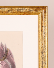 画像をギャラリービューアに読み込む, シリーズ La Mode Illustrée  f-16