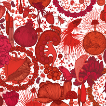 画像をギャラリービューアに読み込む, Michael Cailloux 絵本 mic-93 Merveilleuses COULEURS