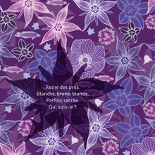 画像をギャラリービューアに読み込む, Michael Cailloux 絵本 mic-93 Merveilleuses COULEURS