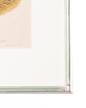 画像をギャラリービューアに読み込む, シリーズ LA MODE ILLUSTREE f-24