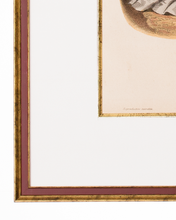 画像をギャラリービューアに読み込む, シリーズ LA MODE ILLUSTRE   f-27