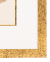 画像をギャラリービューアに読み込む, シリーズ LA MODE ILLUSTREE f-29