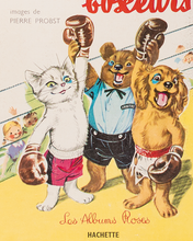 画像をギャラリービューアに読み込む, Pouf et Youpi Boxeurs f-52