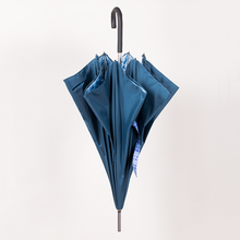 画像をギャラリービューアに読み込む, Michael Cailloux Unbrella  mic-49