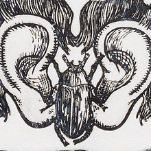 画像をギャラリービューアに読み込む, Michaël Cailloux Etching mic-59 エッチング